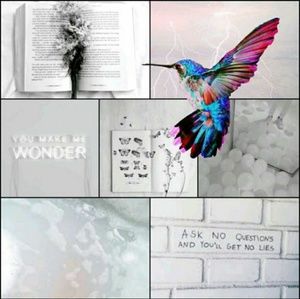 Meet your Posher, Briyida